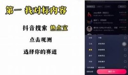抖音VIP视频教程：轻松提升你的短视频创作技巧与流量