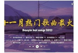 抖音热潮：不可错过的时尚露胸搭配技巧与穿搭建议