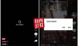 如何判断抖音内容是否合规？教你识别非抖阴技巧！