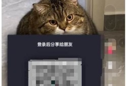 广泛解析阴抖软件使用方法视频教程，轻松入门不再难！
