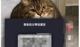 广泛解析阴抖软件使用方法视频教程，轻松入门不再难！