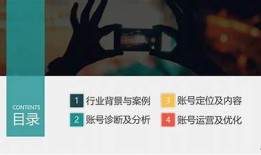 抖阴：新兴短视频平台的崛起与障碍调查