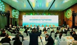 抖音ios版二维码下载链接大全，轻松获取最新版本！
