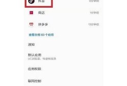 苹果用户下载抖音遇阻，方法与注意事项大全
