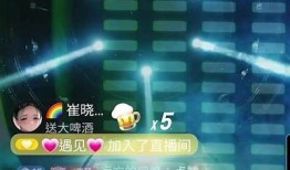 畅享抖音精彩时刻：在线视频实时分享与互动平台