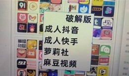 老司机教你在快手和抖音上如何快速涨粉，轻松破解短视频流量密码！