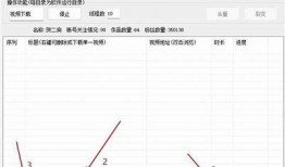 如何获取抖音VIP视频资源？全攻略分享