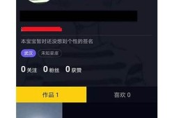 抖音短视频分享网站推荐，让你的创意瞬间传播
