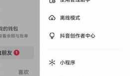 抖阴充值后为何没收到金币？方法解析！