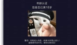 抖阴小视频：探索最新短视频热点与创意分享技巧