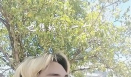 揭秘鹰阴印：抖音短视频中最火的文化动向
