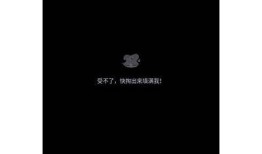 宾阴县抖音精选视频汇总：探索最受欢迎的本地短视频内容
