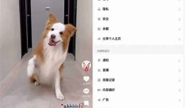 2023最新抖阴破解版下载，轻松获取蓝奏云资源