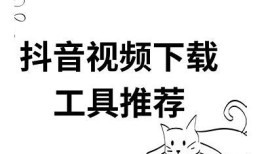 抖音破解版下载：最新无广告版，畅享无限乐趣！