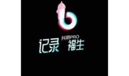 抖阴湾版下载：轻松获取最新版本，畅享无限乐趣！