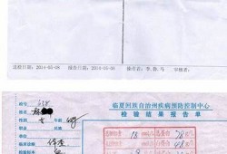 乙肝转阴成功录像，真实见证治愈之路！分享我的故事与经验