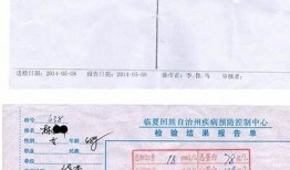 乙肝转阴成功录像，真实见证治愈之路！分享我的故事与经验
