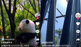 阴城街抖音视频：探索城市魅力，感受无与伦比文化氛围