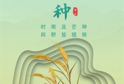 抖阴CG科技：探索未来数字创意与人工智能的完美结合
