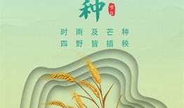 抖阴CG科技：探索未来数字创意与人工智能的完美结合