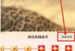 抖音金币获取方法详解，轻松提升你的抖音体验