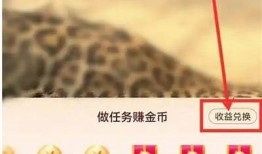抖音金币获取方法详解，轻松提升你的抖音体验