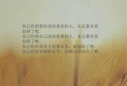 当然可以，请提供你想要的标题或主题，我会为你生成一个符合要求的标题。