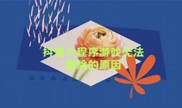 抖阴使用无法初始化对策及常见障碍解析