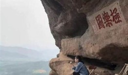 抖阴白茶：探索白茶的独有魅力与健康益处