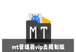 mt管理器攻略：破解抖阴的完整步骤与注意事项
