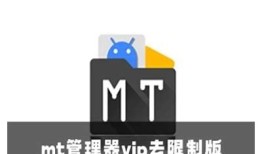 mt管理器攻略：破解抖阴的完整步骤与注意事项