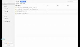 抖阴蓝奏云网盘免费下载教程，轻松获取热门资源