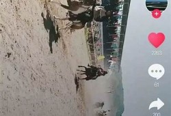 抖一阴下载：轻松获取热门短视频平台使用