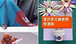 成版人必看：快手与抖音的广泛比较与使用技巧分享