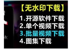 抖音156破解下载：安全获取最新版本技巧与指导