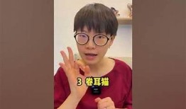 快猫抖阴的意思解析与使用场景分享
