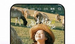 2023年抖音App下载指南：最新版本及使用技巧分享