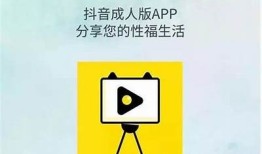 彻底解析抖阴黄版APP下载安装教程及最新资讯