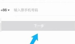 如何顺利登陆抖音官网，详细步骤分享与常见困难解答