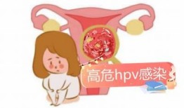 揭秘 HPV 转阴的有效方法，轻松应对抖音热门话题！