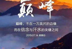 抖阴晨：如何在清晨开启高效的一天，掌握晨间仪式的秘诀