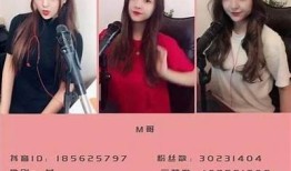 揭秘：我见过最厉害的抖音玩法，轻松吸粉的方法
