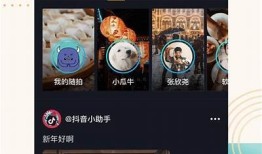 抖音VIP版下载安装：享受更多精彩功能与特权