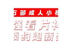 揭秘抖阴VIP博客：如何提升内容质量与获取流量的终极秘籍