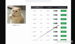 抖音短视频下载教程：快速获取喜欢的视频