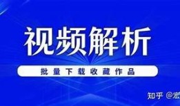 如何下载抖音视频：一步教你轻松获取精彩内容