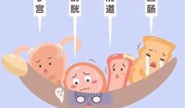 深入剖析抖阴：功能、特点及使用技巧完整解读