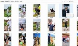 抖阴蓝奏云一体版下载及使用指南，轻松畅享无限乐趣