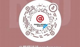 抖音APP二维码获取教程：轻松分享你的短视频