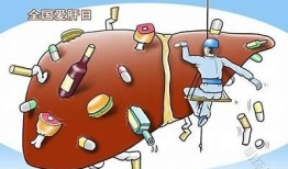 乙肝转阴真实案例分享，成功逆转健康之路秘诀揭秘！